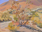 CoyoteWash_150.jpg