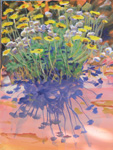 FlowersAndShadows
