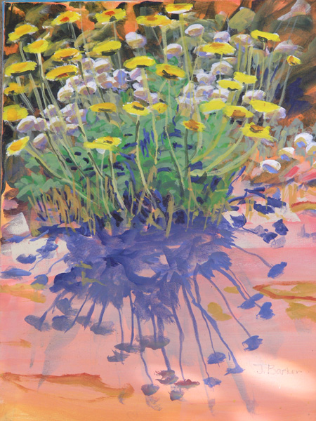 FlowersAndShadows