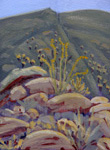 YellowOcotillo